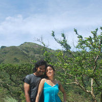 Alaral tamil movie  stills | Picture 41519
